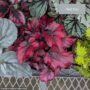 product-274891-1789482288-TRI05-0000064^7